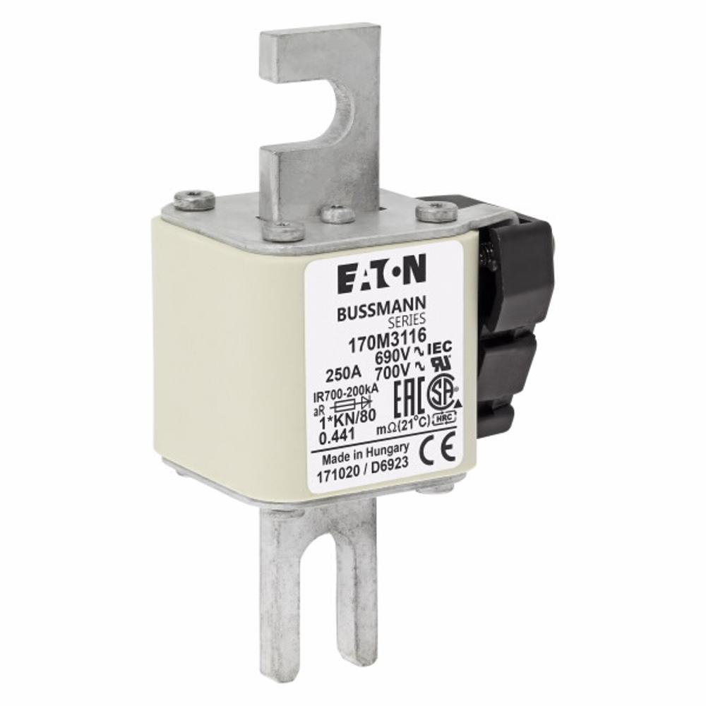 170M3116 Быстрый предохранитель 250A 690V 1*KN/80 AR UC