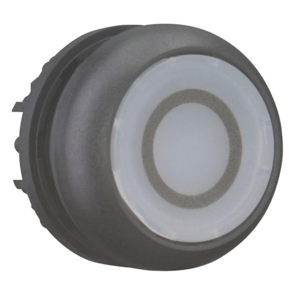 M22S-DL-W-X0 Головка кнопки с подсветкой, без фиксации, цвет белый с обозначение О, черное лицевое кольцо