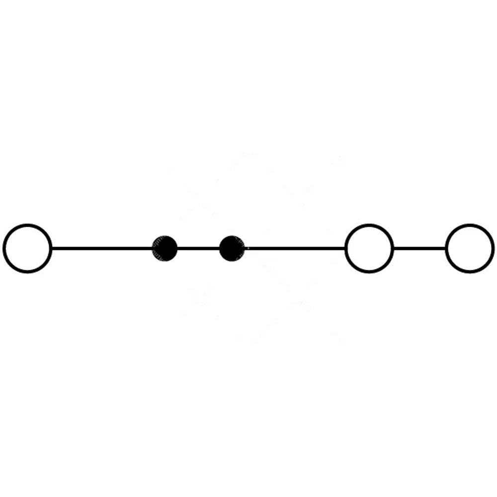 RNS 2,5-TWIN - Клемма проходная, CHIKU
