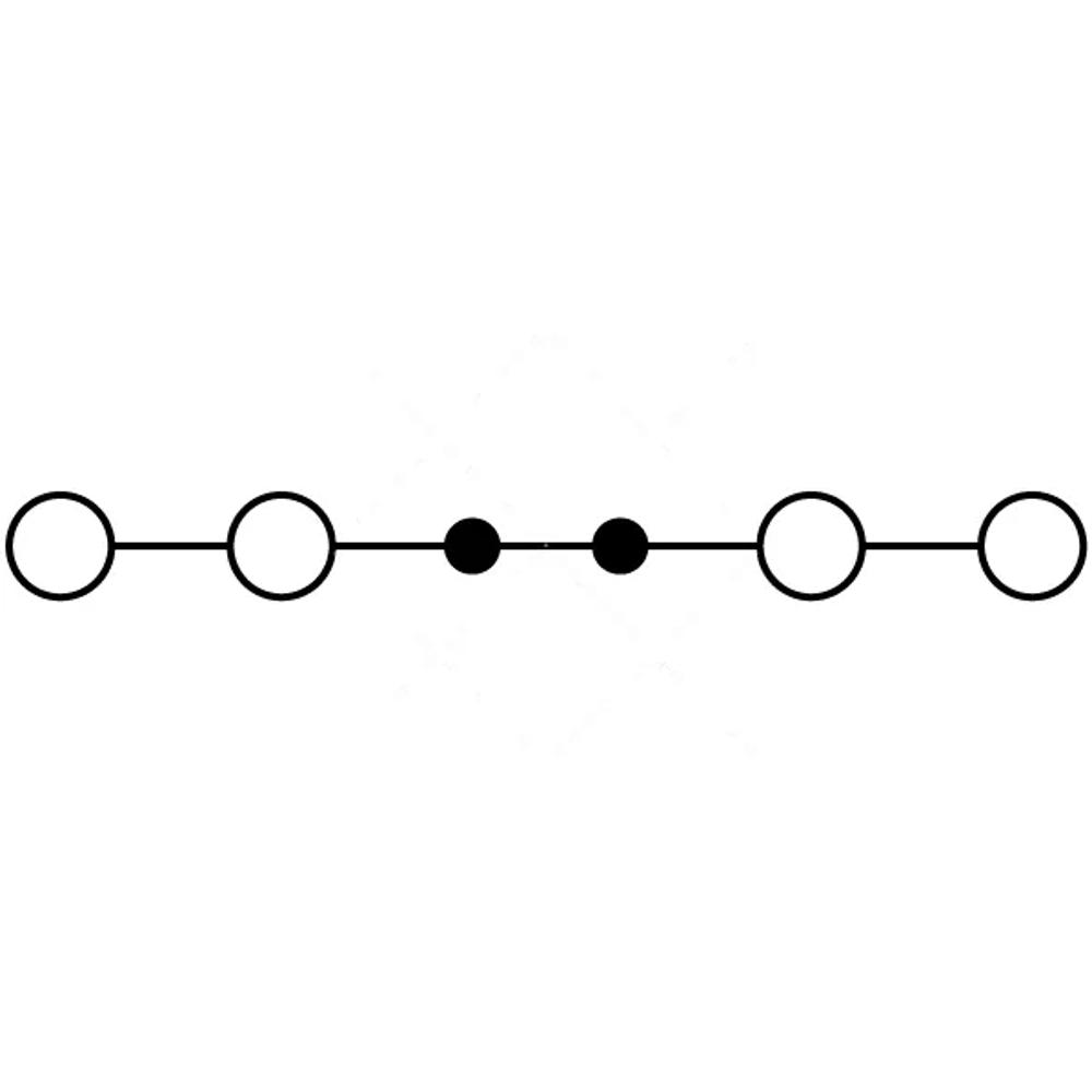 RNS 2,5-QUATTRO - Клемма проходная, CHIKU